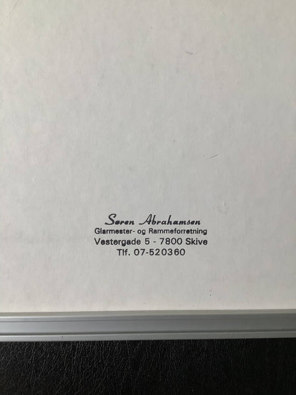 Tanskalainen julistetaulu